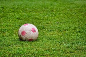 Bild Sommerfest